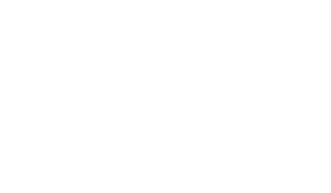 Sylvian Logo